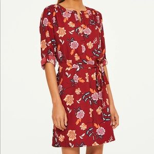 Loft shirt dress